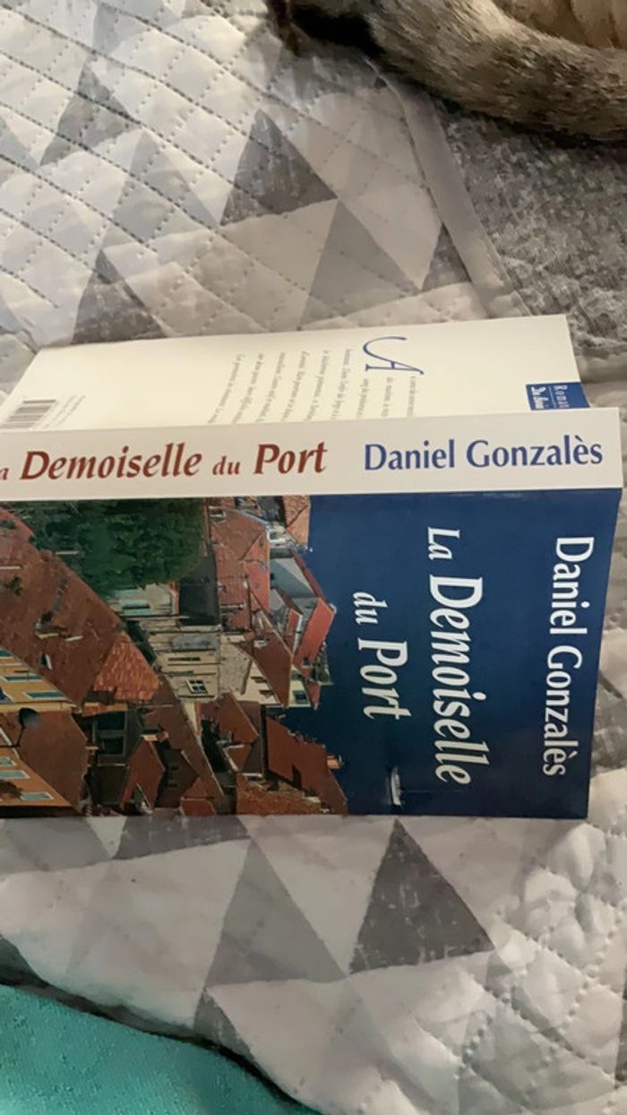 #la Demoiselle du port Daniel Gonzalès - photo numéro 5
