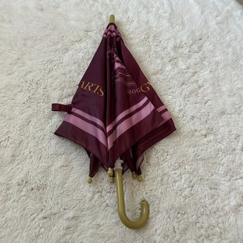 Parapluie Harry Potter enfant