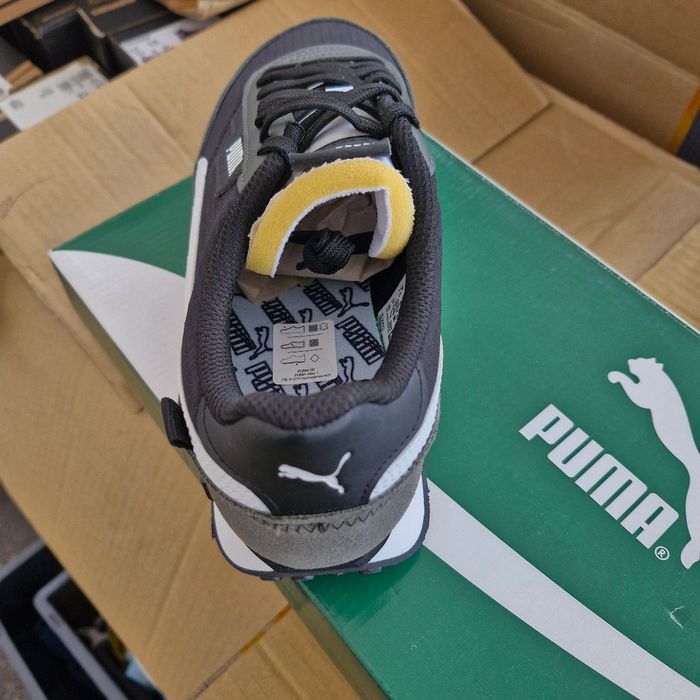 Puma noir - photo numéro 9