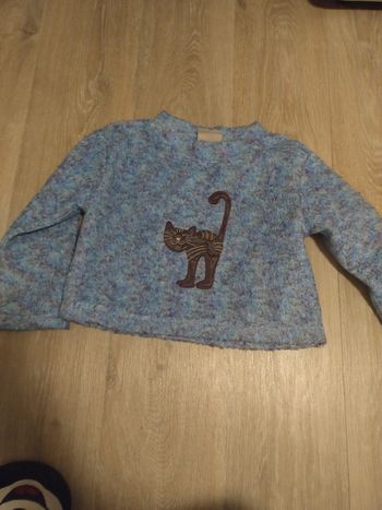 Pull court chat 🐱