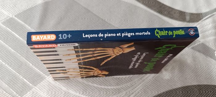 Livre chair de poule - photo numéro 3