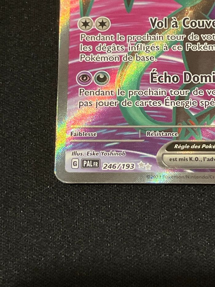 Bruyverne ex 246/193 - photo numéro 2