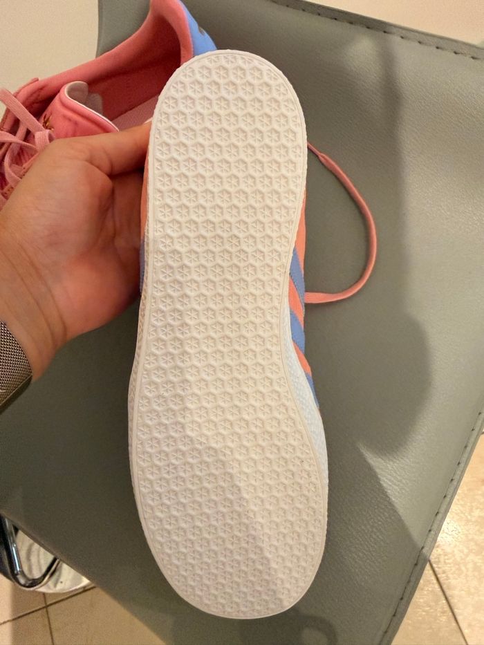 Gazelle - photo numéro 3