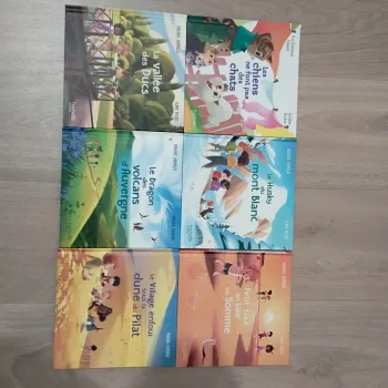 Lot de 6 livres Mc Donald's à 2 euros le lot / Mc Do / les merveilles de France