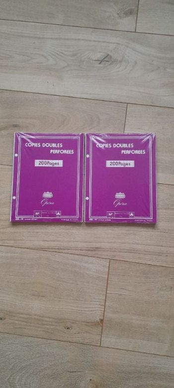 Lot de 2 paquets copies doubles perforées grands carreaux