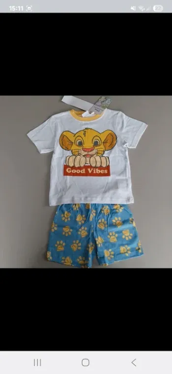 Ensemble roi lion