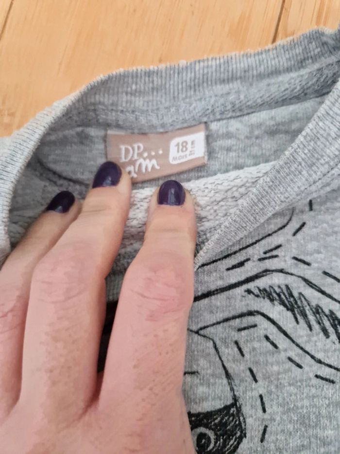 Lot de 2 sweats bébé garçon 18 mois DPAM - photo numéro 5