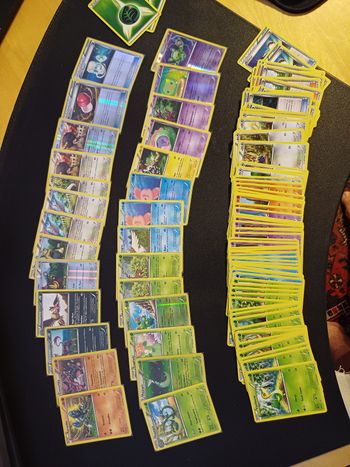 Lot de cartes Pokémon - Bloc Noir et Blanc