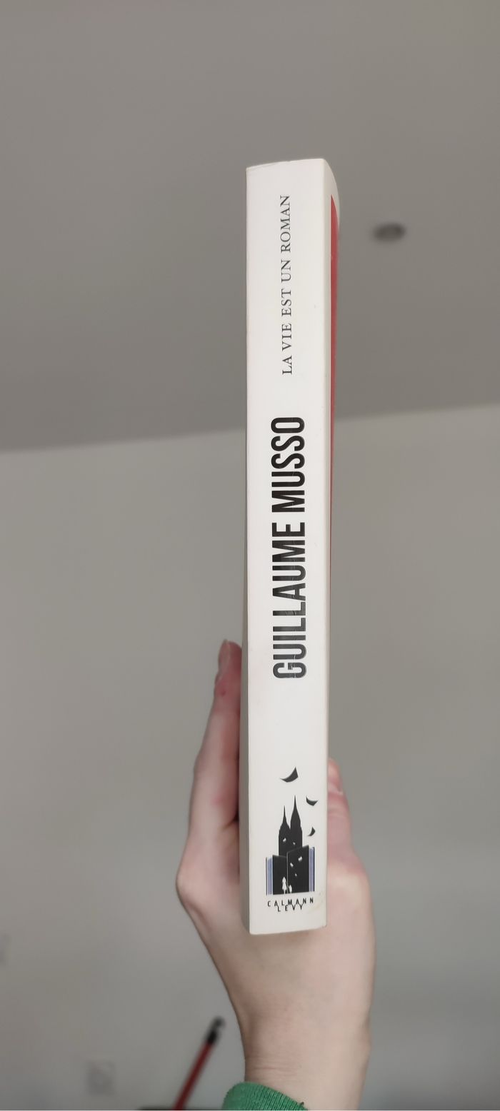 Livre "La vie est un roman" de Guillaume Musso - Édition Calmann Lévy - photo numéro 2