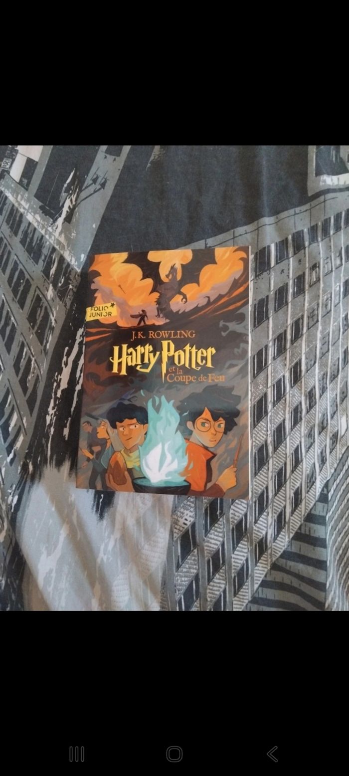 Livre harry potter - photo numéro 4