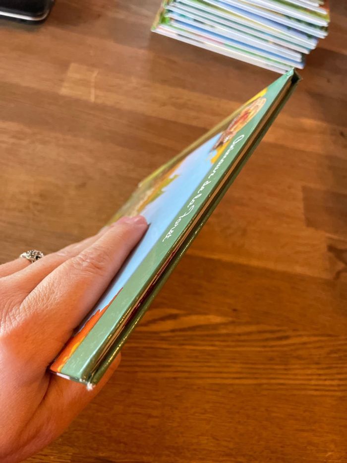 Livre Altaya Le monde des animaux Sauvages Animaux de la forêt Le Lynx - photo numéro 5