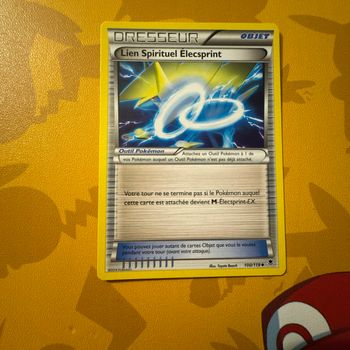 Carte Pokémon dresseur objet