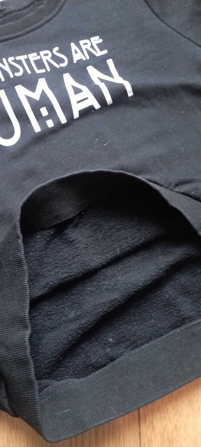 Pull American Horror Story - photo numéro 2