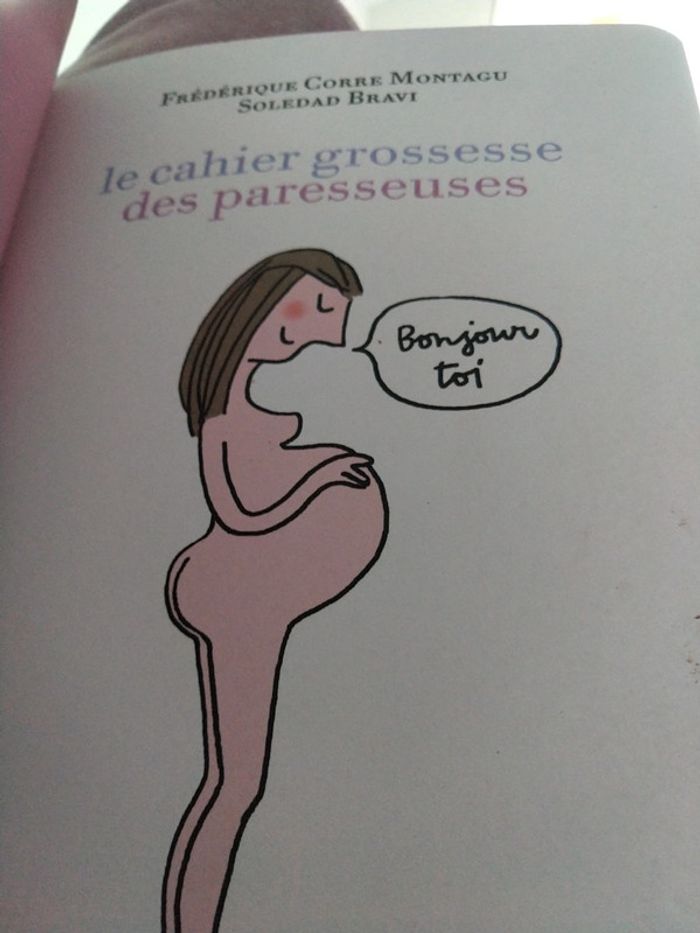 Le cahier grossesse des paresseuses - photo numéro 8