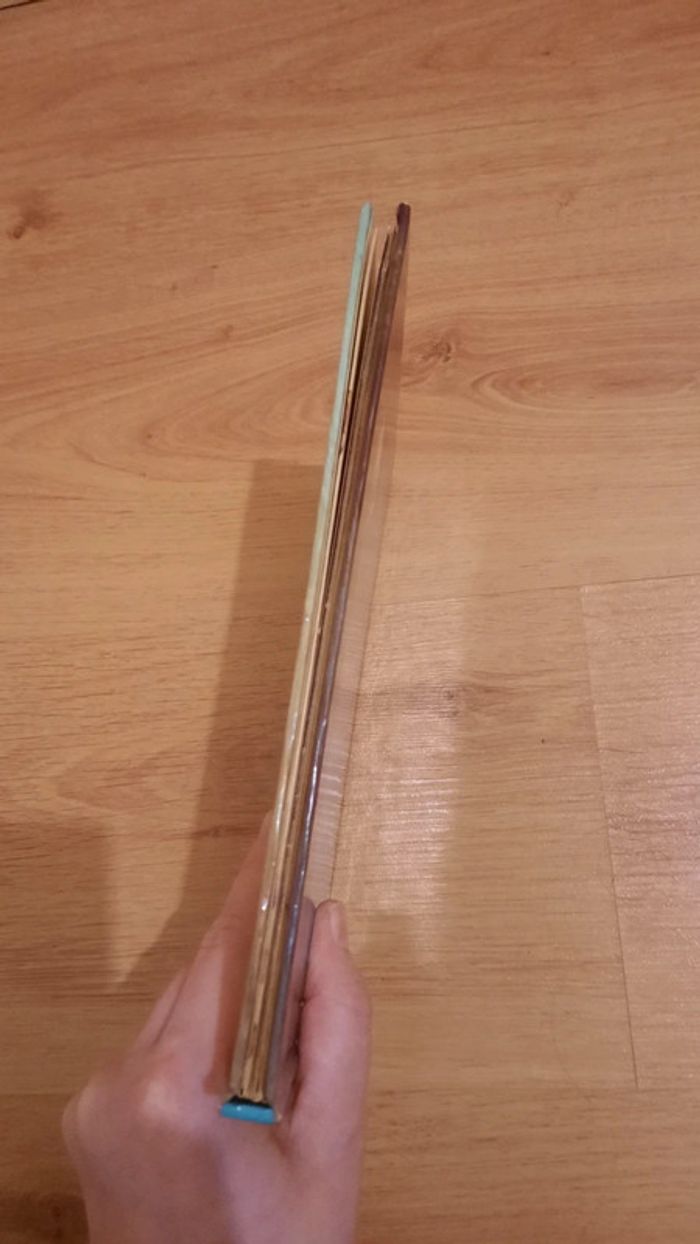 Donald et la maison hantée - photo numéro 10