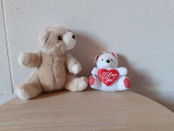 Lot de 2 oursons en peluche