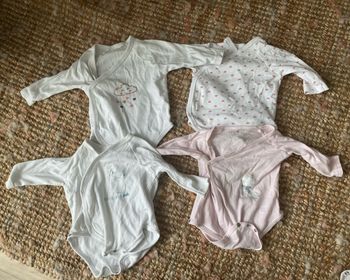 Lot 4 bodies ML