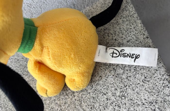 chien - photo numéro 3