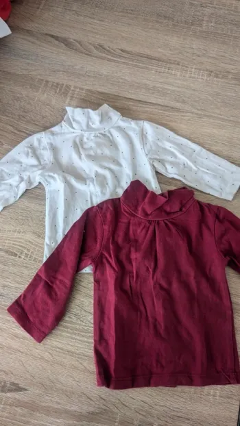 Lot de deux Pulls bébé fille manches longues
