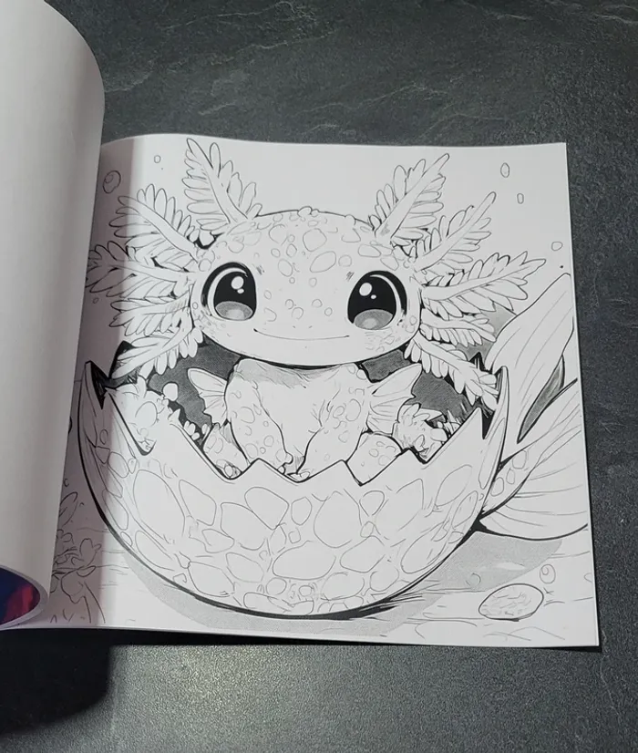 Livre coloriages - photo numéro 2
