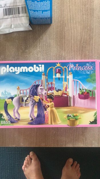 Playmobil princess 6855