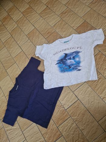 Lot 2 t-shirts / Taille 2 ans