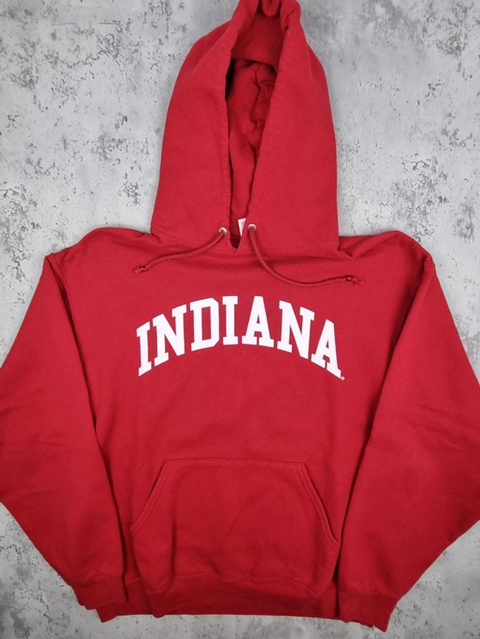 Pull à capuche universitaire Indiana Jerzees – Taille L Homme (mesures en photos) - photo numéro 3