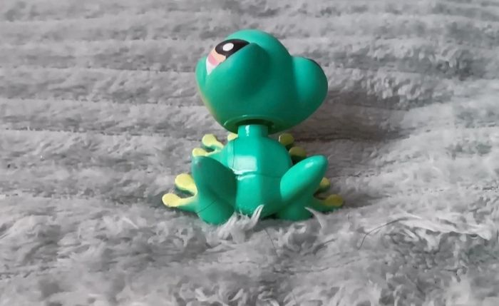 Petshop grenouille  236 - photo numéro 3