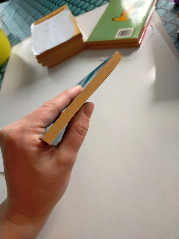 Garfield wave rebel - photo numéro 7