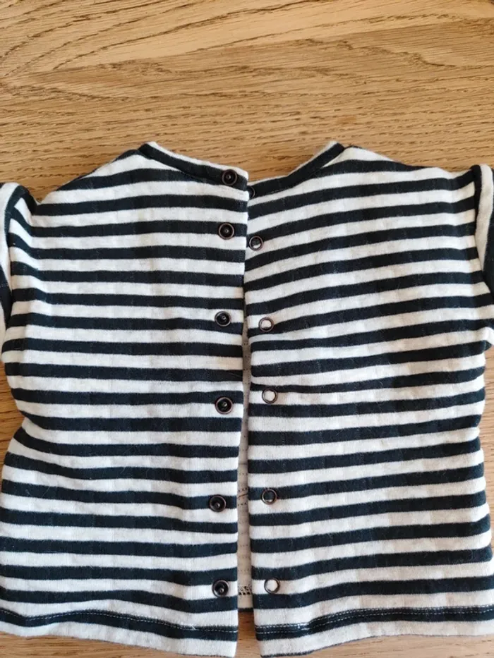 Pull chien - photo numéro 4