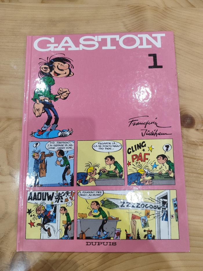 11 livres gaston - photo numéro 3