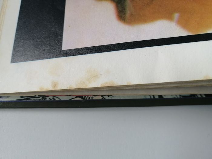 l'incroyable hulk - photo numéro 9