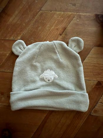 Bonnet