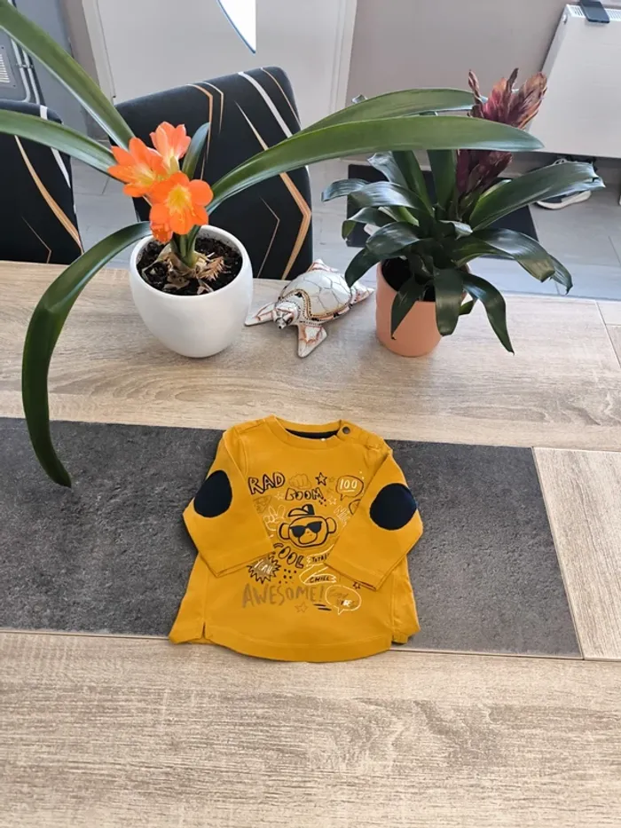 Tee-shirt garçon ml 6 mois Orchestra