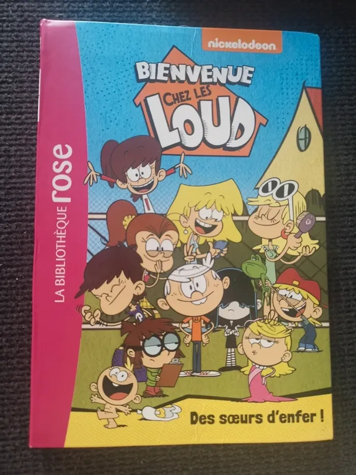 Lot 4 livres bienvenu chez les loud bibliothèque rose - photo numéro 3