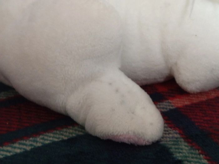 Peluche Astérix et Obélix de Idéfix - photo numéro 5