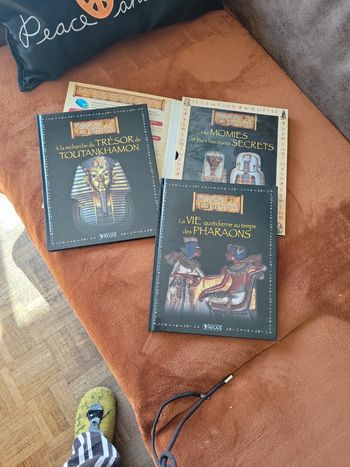 Lot 3 livres neufs Égypte