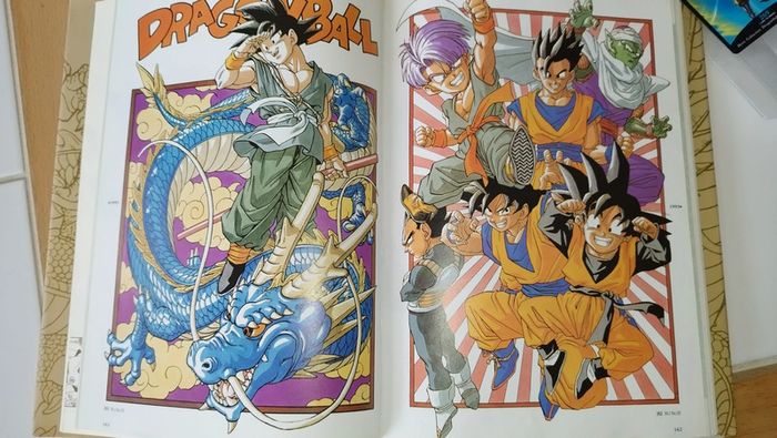 Le grand livre D'illustrations de Dragon Ball 1996 Artbook - photo numéro 5