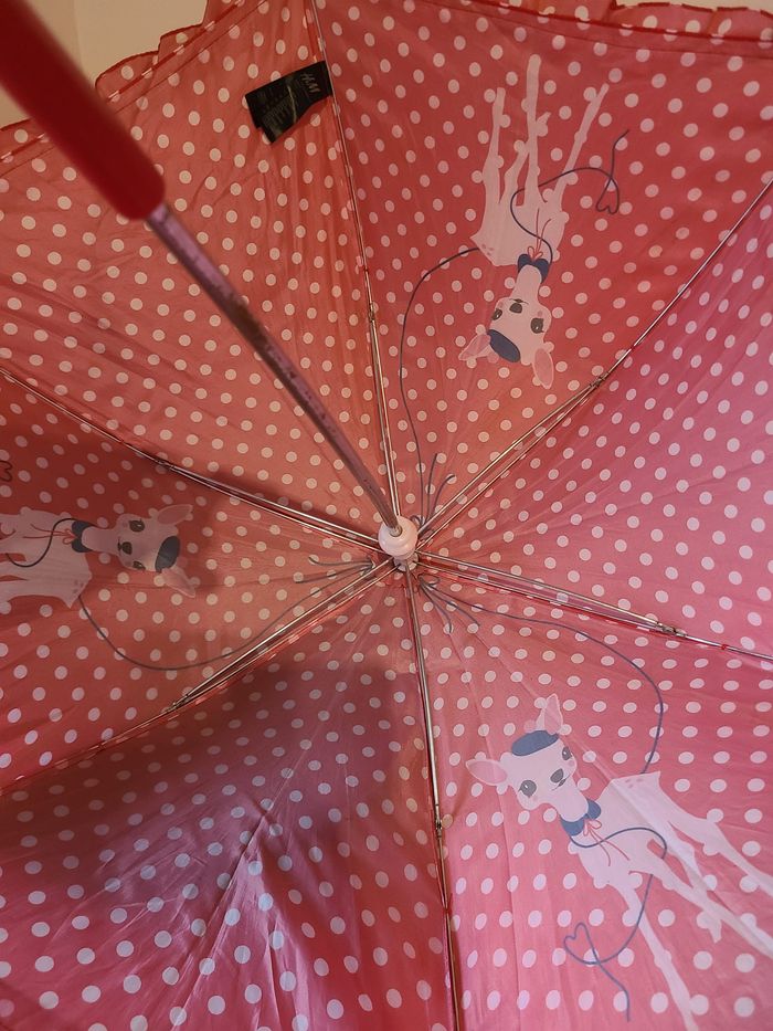 parapluie - photo numéro 3