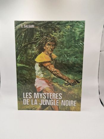 Les mysteres de la jungle noire