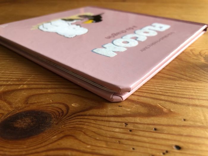 Livre Flocon a du chagrin - photo numéro 6