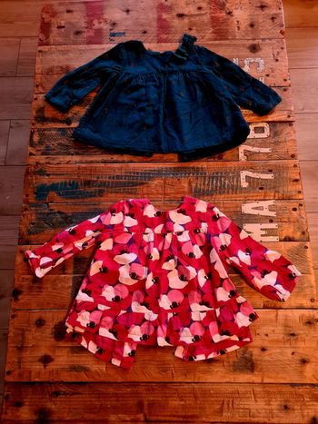 Lot de 2 blouses pour bebe fille.