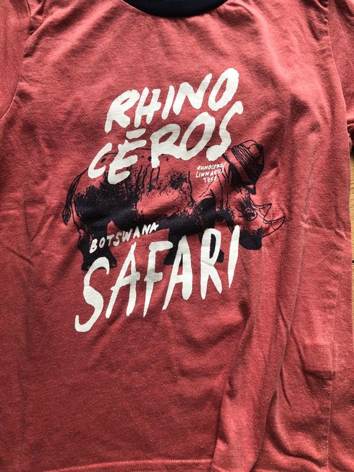 Lot ter short été 6 ans - photo numéro 2