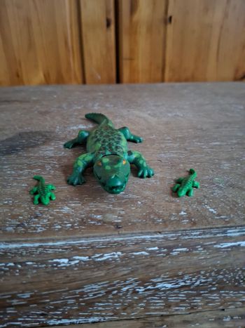 Playmobil Family fun Crocodiles