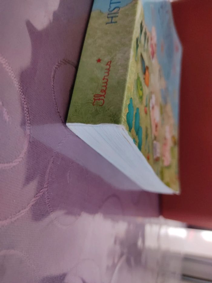 Livre d'histoires - photo numéro 4