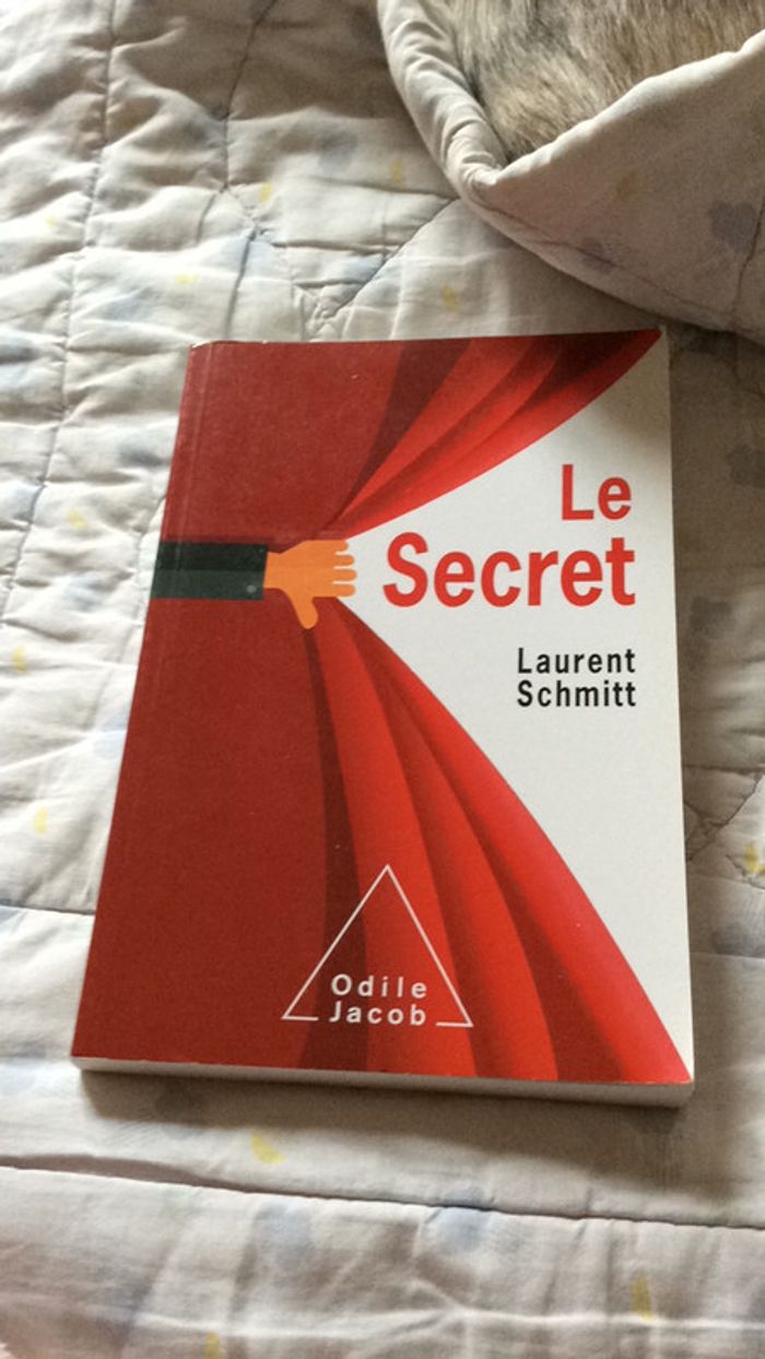 #le secret par Laurent Schmitt