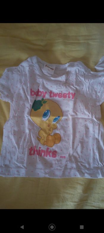 Tee shirt Titi de titi et gros minet