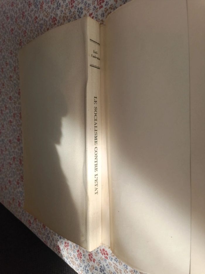 Le Socialisme contre l'Etat - photo numéro 9