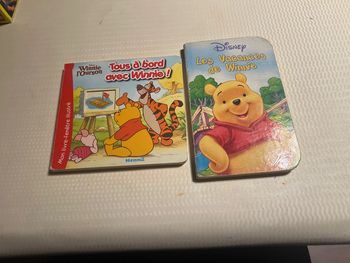 Lot de 2 livres Winnie l’ourson