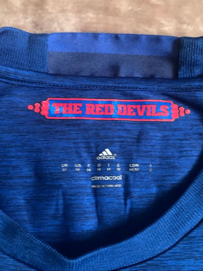 Maillot Ibrahimovic Manchester united - photo numéro 8